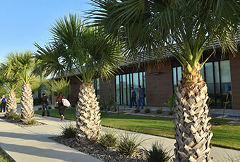 Students walking outside by palm trees